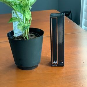 Whish mud mask - Brand new in box